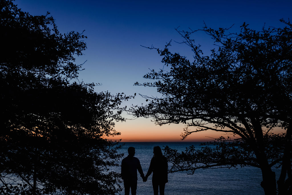 A couple holds hands in between two trees at sunrise 
