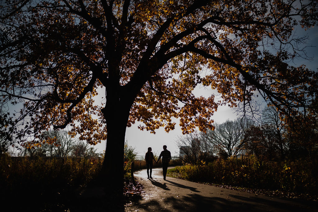 Couple walking under a tree during fall at Lincoln Park.