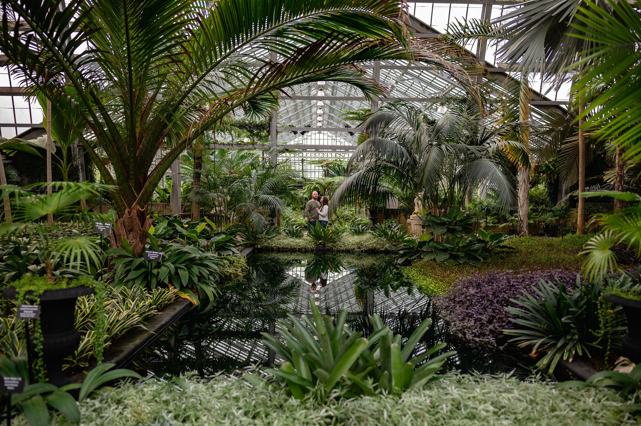Couple is reflected in water at Garfield Park Conservatory